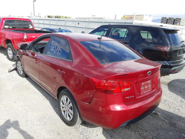 Photo 2 VIN: KNAFU4A2XA5062593 - KIA FORTE EX 