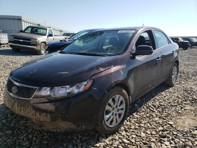 Photo 1 VIN: KNAFU4A2XB5446018 - KIA FORTE EX 