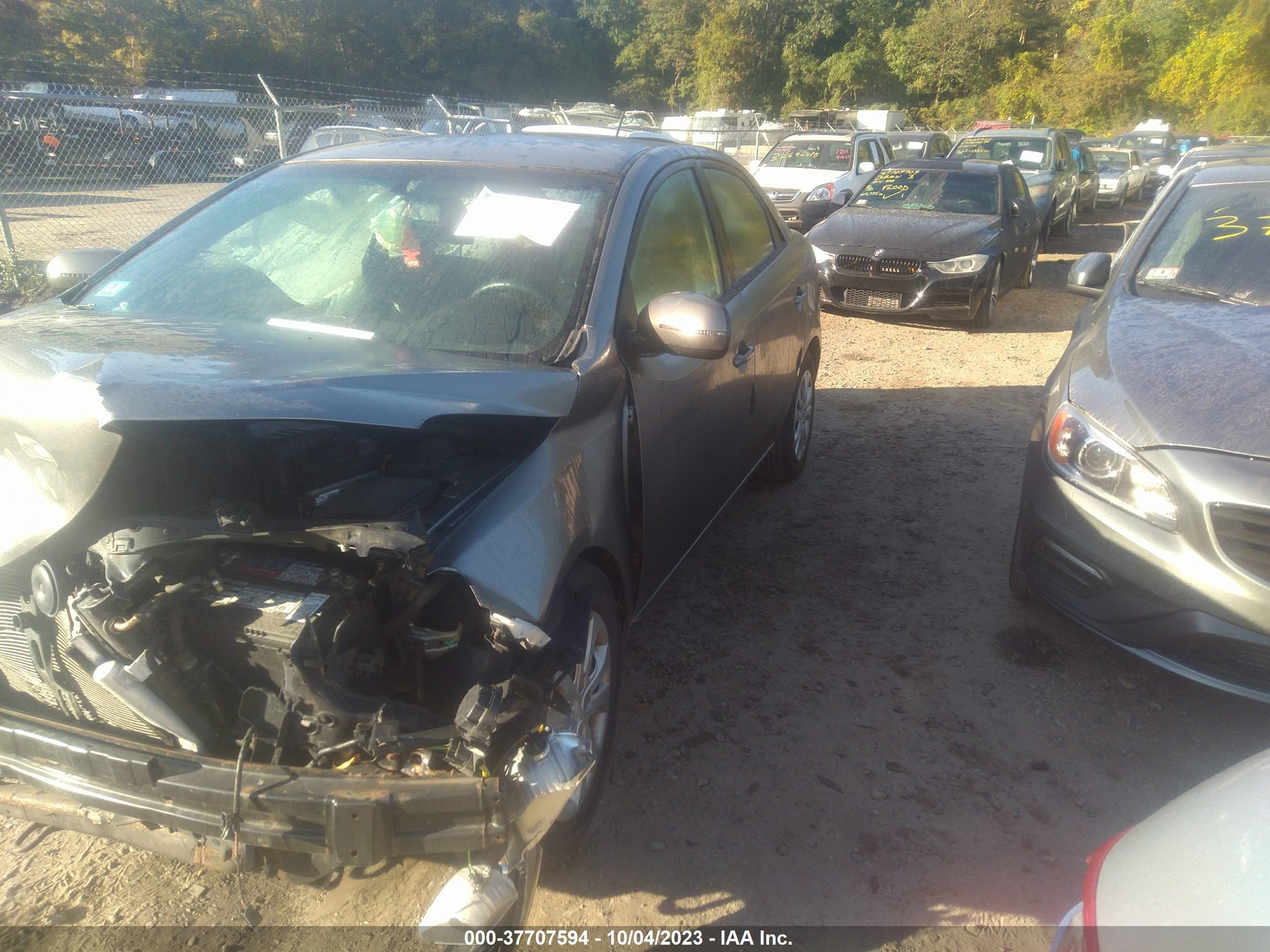 Photo 1 VIN: KNAFU4A2XB5452983 - KIA FORTE 