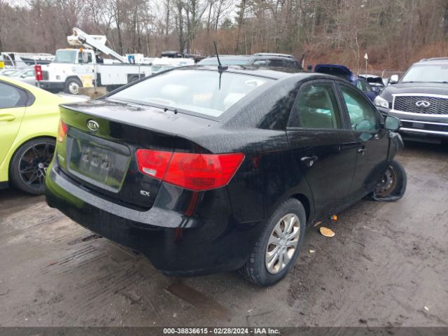 Photo 3 VIN: KNAFU4A2XC5500113 - KIA FORTE 