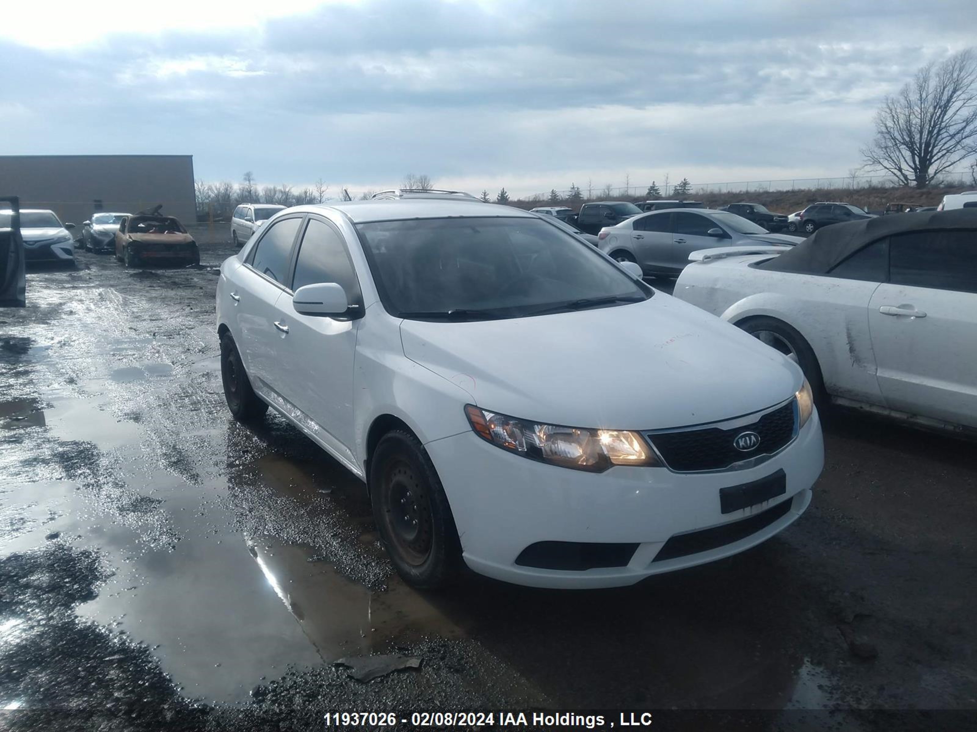 Photo 0 VIN: KNAFU4A2XC5534326 - KIA FORTE 