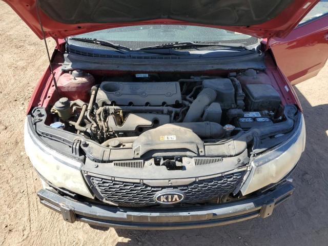 Photo 10 VIN: KNAFU4A2XD5651695 - KIA FORTE 