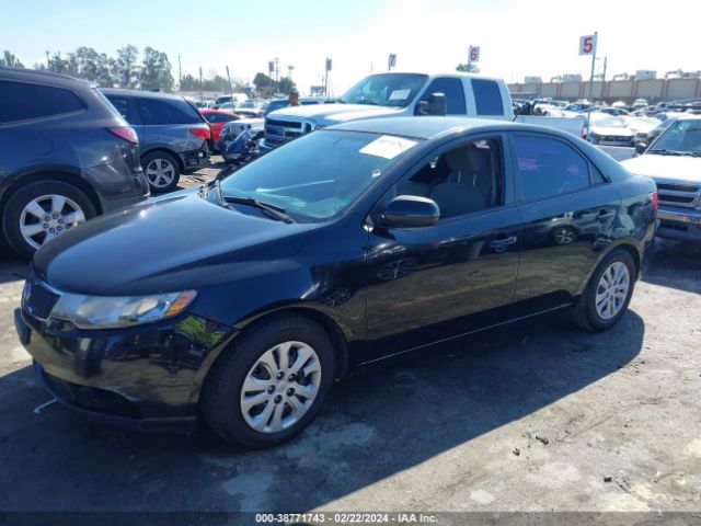 Photo 1 VIN: KNAFU4A2XD5655407 - KIA FORTE 