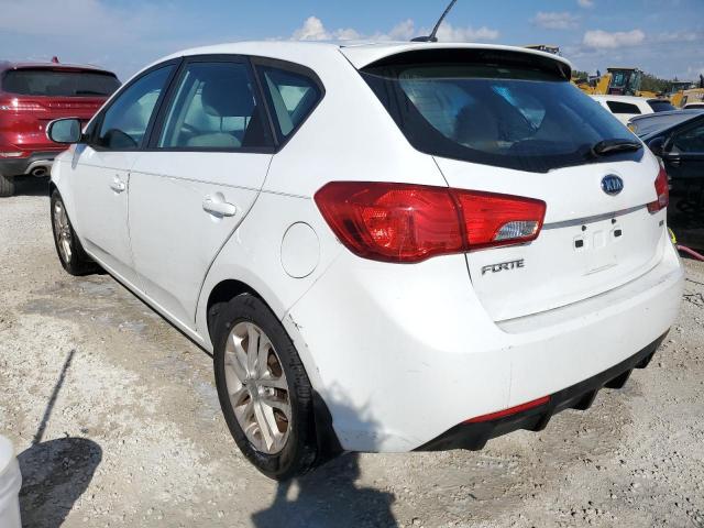 Photo 1 VIN: KNAFU5A20B5328047 - KIA FORTE EX 