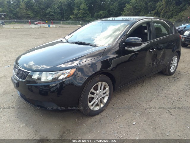 Photo 1 VIN: KNAFU5A20C5624252 - KIA FORTE 5-DOOR 