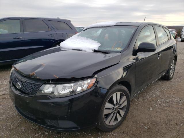 Photo 1 VIN: KNAFU5A21D5672831 - KIA FORTE EX 