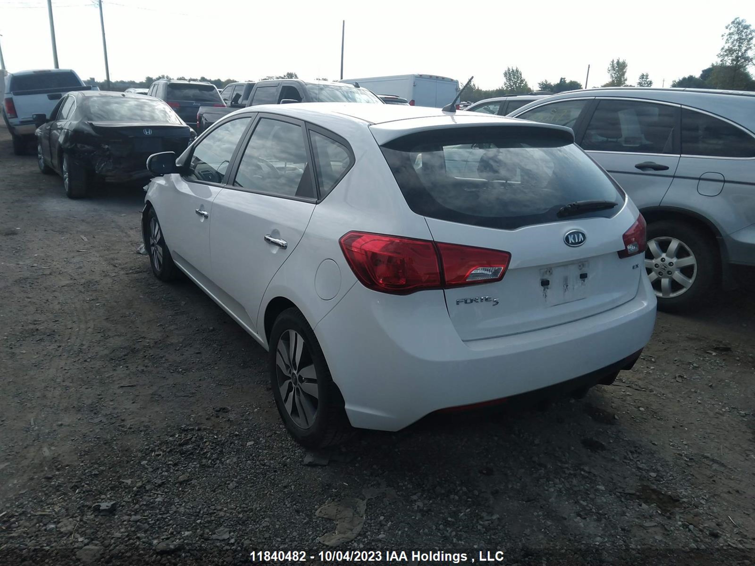 Photo 2 VIN: KNAFU5A21D5741064 - KIA FORTE 