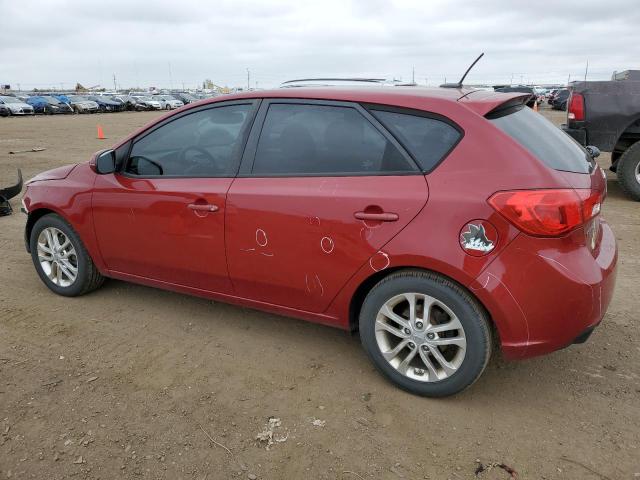 Photo 1 VIN: KNAFU5A22B5324324 - KIA FORTE 