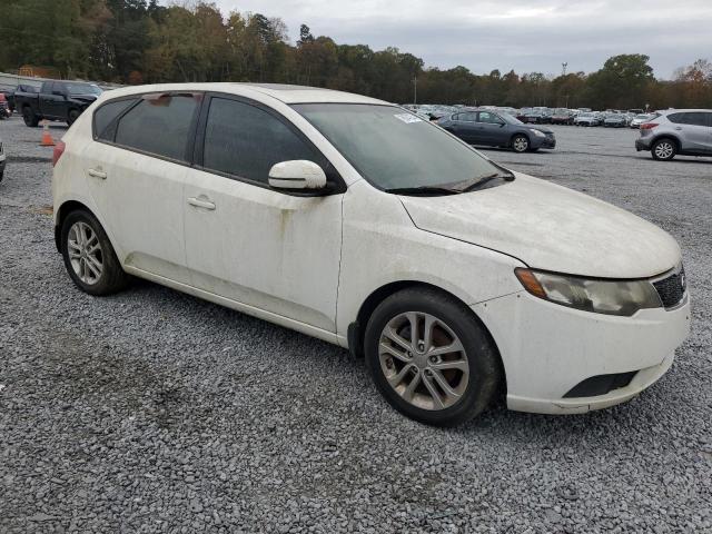 Photo 3 VIN: KNAFU5A22C5569030 - KIA FORTE EX 