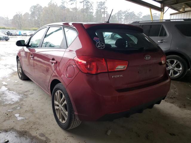 Photo 2 VIN: KNAFU5A23B5319357 - KIA FORTE EX 