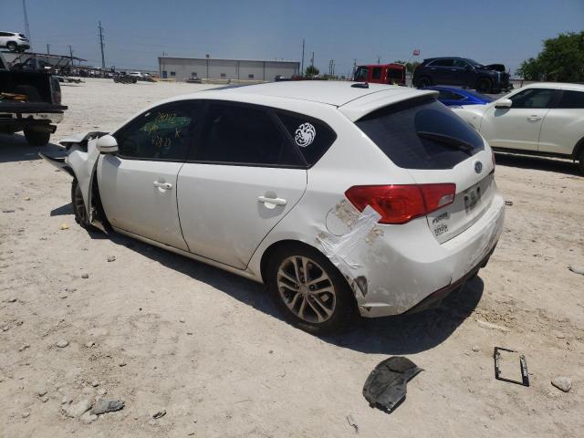 Photo 1 VIN: KNAFU5A23B5320816 - KIA FORTE EX 