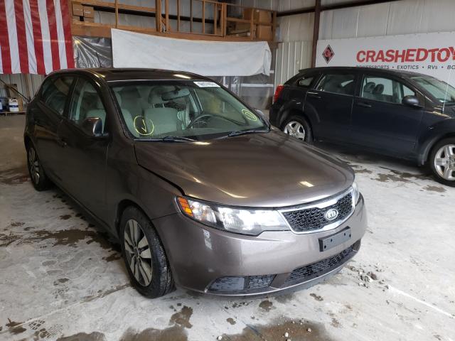 Photo 0 VIN: KNAFU5A23D5690909 - KIA FORTE EX 