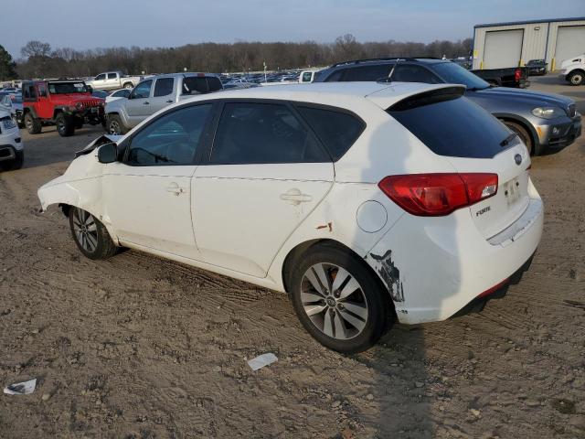 Photo 1 VIN: KNAFU5A24D5689655 - KIA FORTE EX 