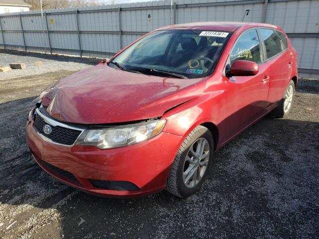 Photo 1 VIN: KNAFU5A25B5329453 - KIA FORTE EX 