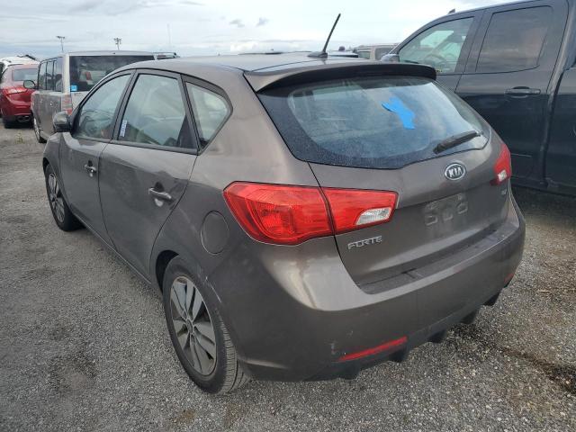 Photo 2 VIN: KNAFU5A25D5653294 - KIA FORTE EX 