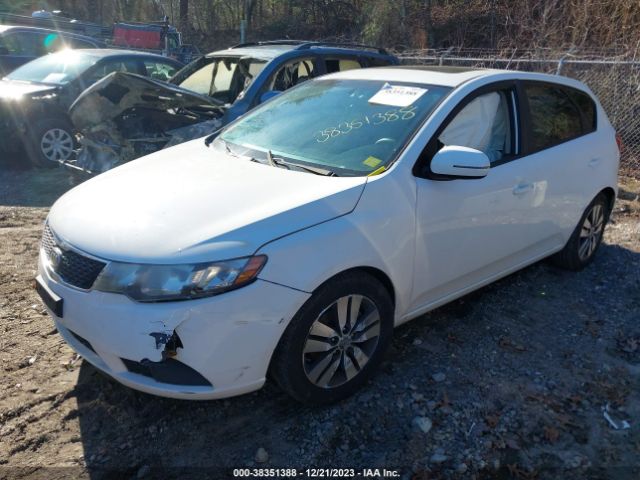 Photo 1 VIN: KNAFU5A25D5693150 - KIA FORTE 