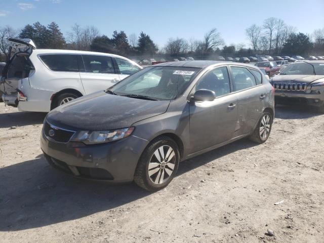 Photo 0 VIN: KNAFU5A25D5744453 - KIA FORTE 