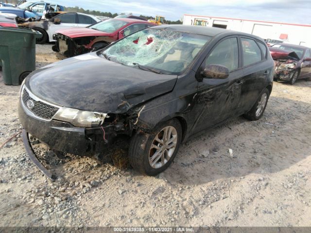 Photo 1 VIN: KNAFU5A26C5542509 - KIA FORTE 5-DOOR 