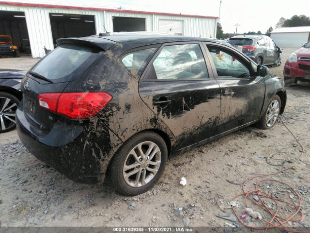 Photo 3 VIN: KNAFU5A26C5542509 - KIA FORTE 5-DOOR 