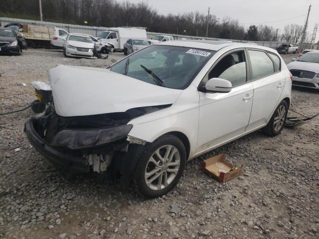 Photo 0 VIN: KNAFU5A27B5411216 - KIA FORTE EX 