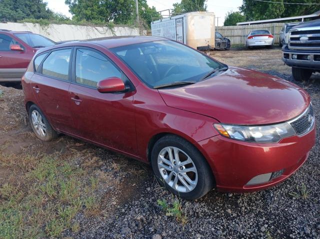 Photo 0 VIN: KNAFU5A28C5532838 - KIA FORTE 