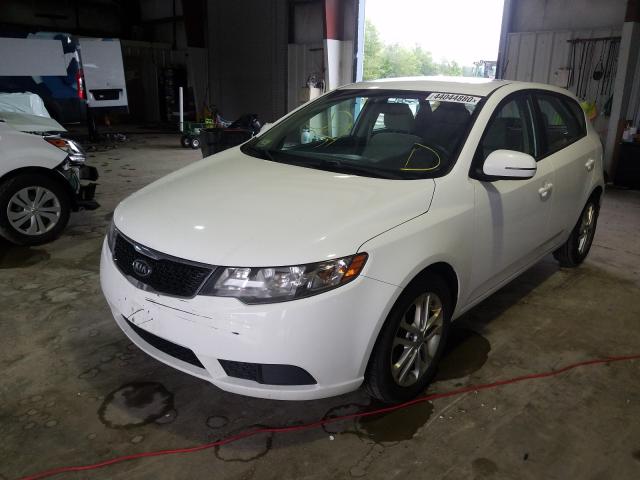 Photo 1 VIN: KNAFU5A29B5432682 - KIA FORTE EX 