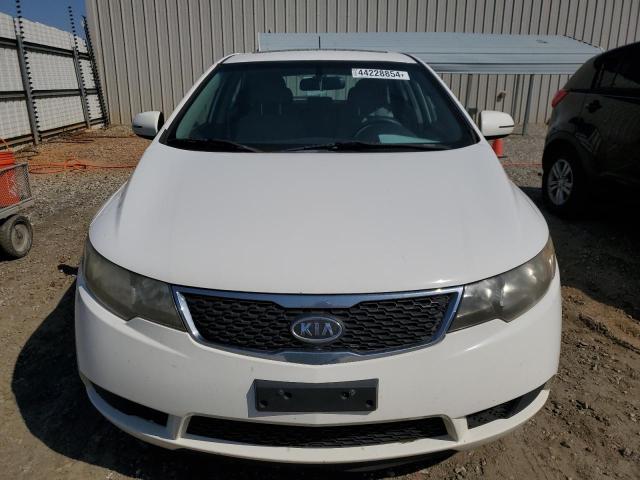 Photo 4 VIN: KNAFU5A29C5621950 - KIA FORTE 