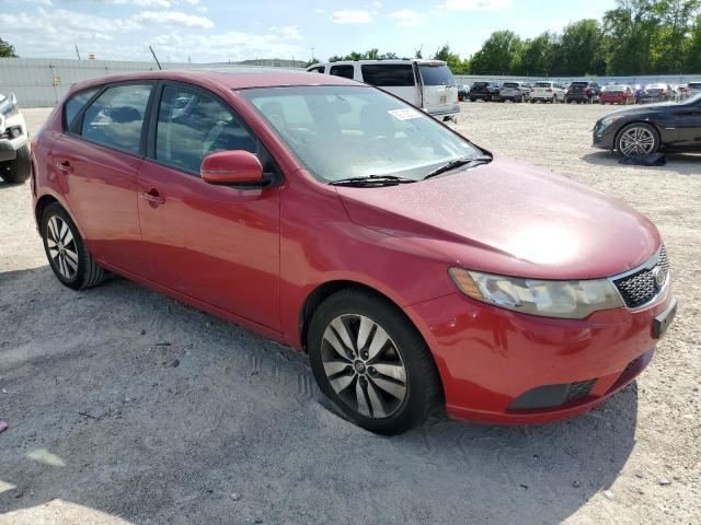 Photo 3 VIN: KNAFU5A29D5656697 - KIA FORTE EX 