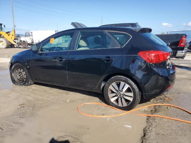 Photo 1 VIN: KNAFU5A29D5687738 - KIA FORTE EX 