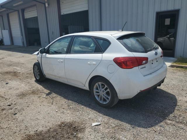 Photo 1 VIN: KNAFU5A2XB5324491 - KIA FORTE EX 