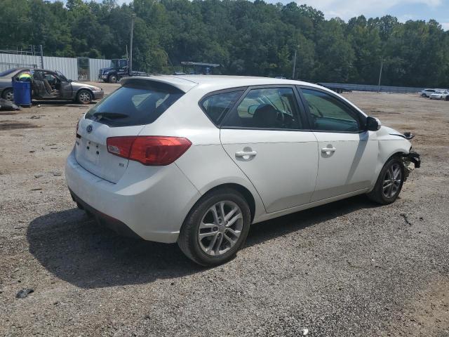 Photo 2 VIN: KNAFU5A2XB5324491 - KIA FORTE EX 