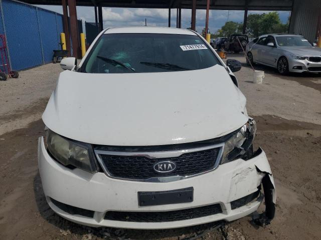 Photo 4 VIN: KNAFU5A2XB5378020 - KIA FORTE EX 