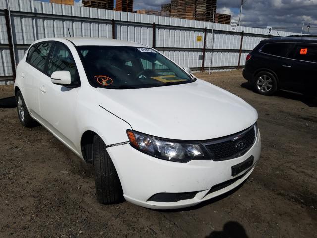 Photo 0 VIN: KNAFU5A2XB5437373 - KIA FORTE EX 