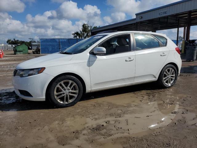 Photo 0 VIN: KNAFU5A2XC5593205 - KIA FORTE EX 