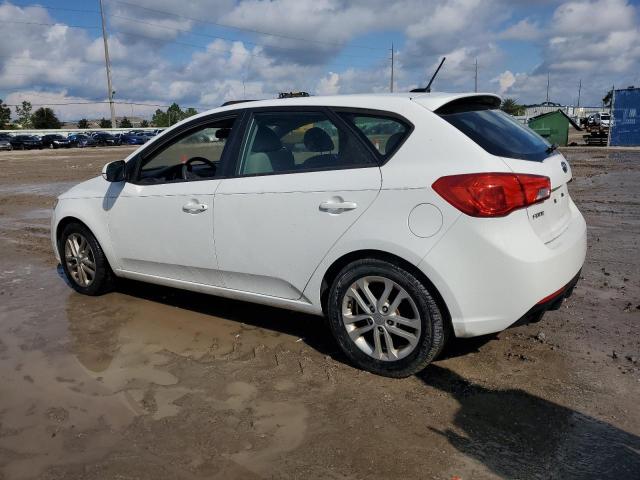 Photo 1 VIN: KNAFU5A2XC5593205 - KIA FORTE EX 