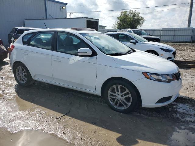 Photo 3 VIN: KNAFU5A2XC5593205 - KIA FORTE EX 