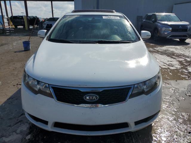 Photo 4 VIN: KNAFU5A2XC5593205 - KIA FORTE EX 