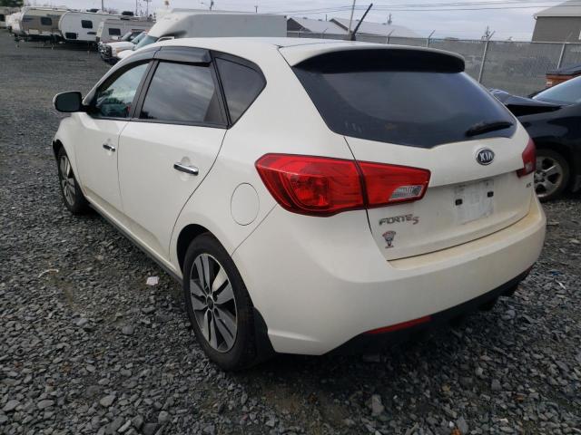 Photo 2 VIN: KNAFU5A2XD5699428 - KIA FORTE EX 