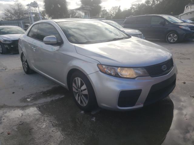 Photo 0 VIN: KNAFU6A20D5668002 - KIA FORTE EX 