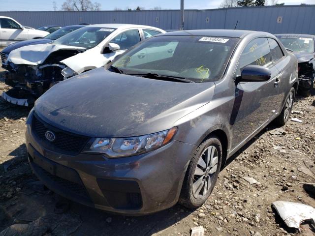 Photo 1 VIN: KNAFU6A21D5685181 - KIA FORTE EX 