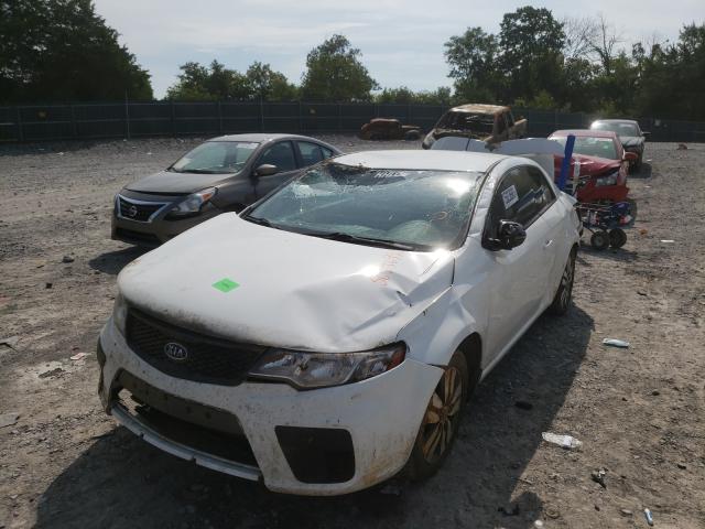 Photo 8 VIN: KNAFU6A21D5743256 - KIA FORTE EX 