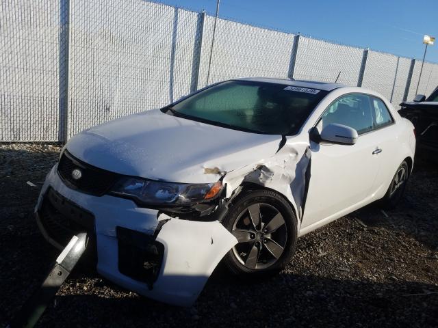 Photo 1 VIN: KNAFU6A22B5427927 - KIA FORTE EX 