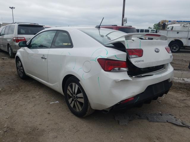 Photo 2 VIN: KNAFU6A22D5681060 - KIA FORTE EX 