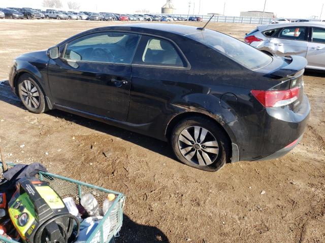 Photo 1 VIN: KNAFU6A22D5681771 - KIA FORTE 