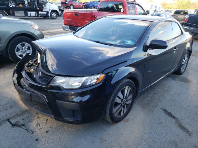 Photo 1 VIN: KNAFU6A22D5683326 - KIA FORTE EX 