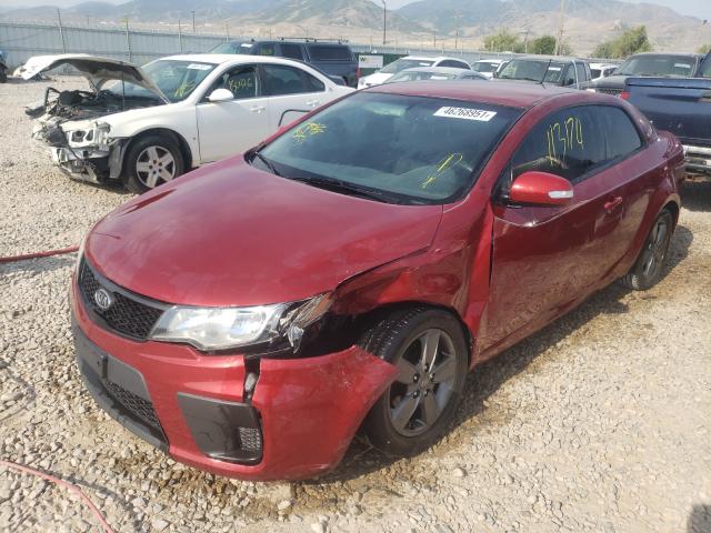 Photo 1 VIN: KNAFU6A23A5129756 - KIA FORTE EX 