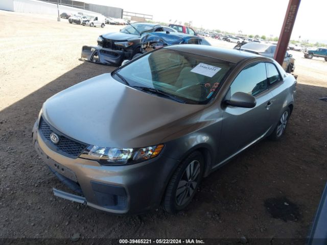 Photo 1 VIN: KNAFU6A23D5657933 - KIA FORTE 