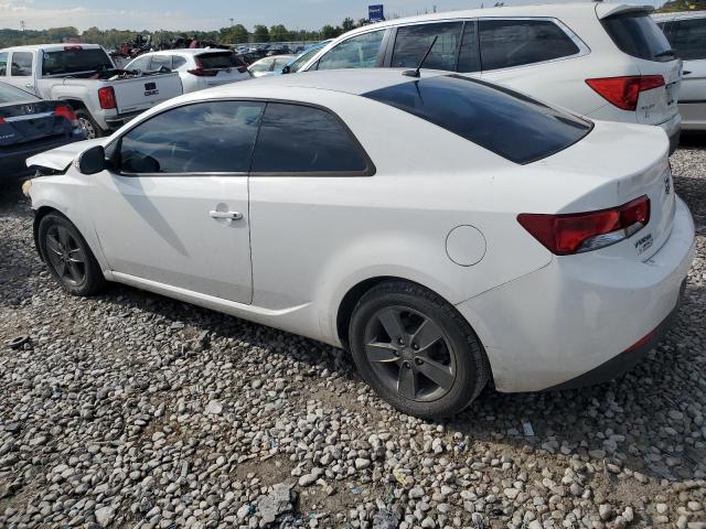 Photo 1 VIN: KNAFU6A24A5245273 - KIA FORTE EX 