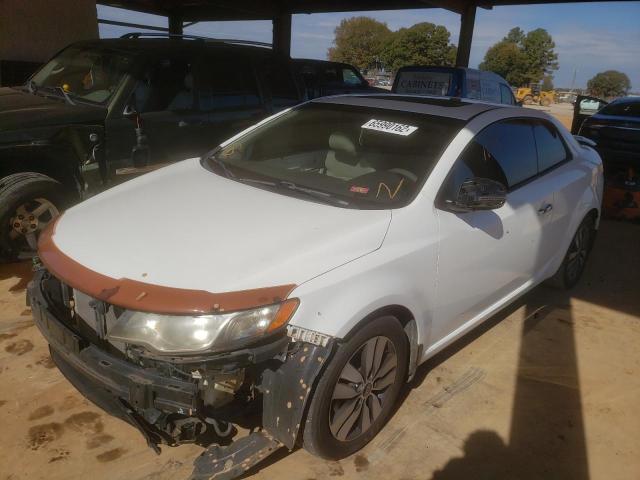 Photo 1 VIN: KNAFU6A24D5691587 - KIA FORTE EX 