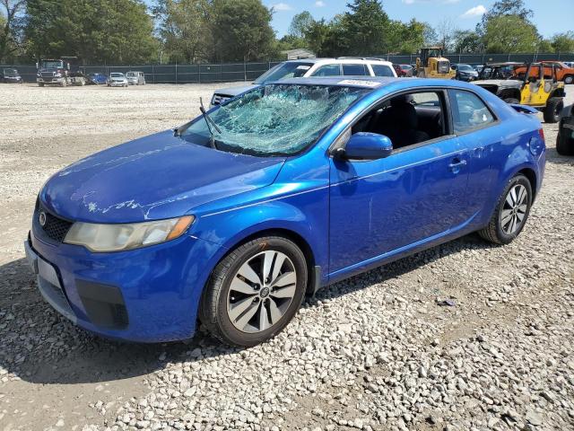 Photo 0 VIN: KNAFU6A25D5681005 - KIA FORTE EX 